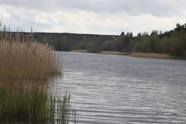 Frensham Little Pond
