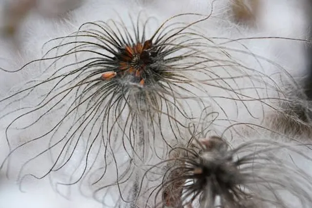 Maschinenhaus Grube Adolf-Park