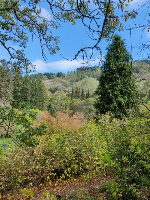 Regional Parks Botanic Garden