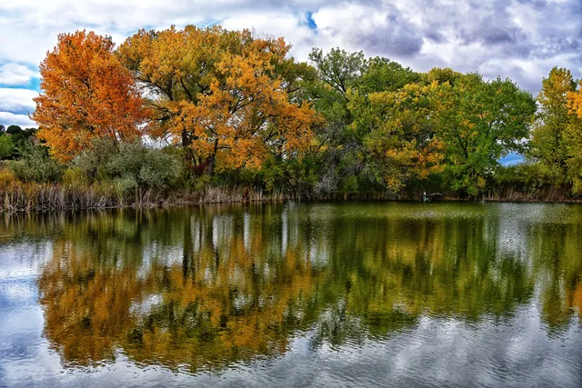 Leonora Curtin Wetland Preserve