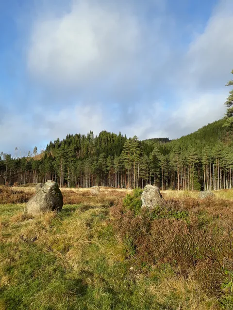 Tingvatn fornminnepark