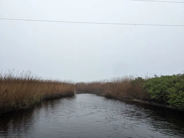 photo-2