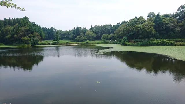 Takakuhasuike Park