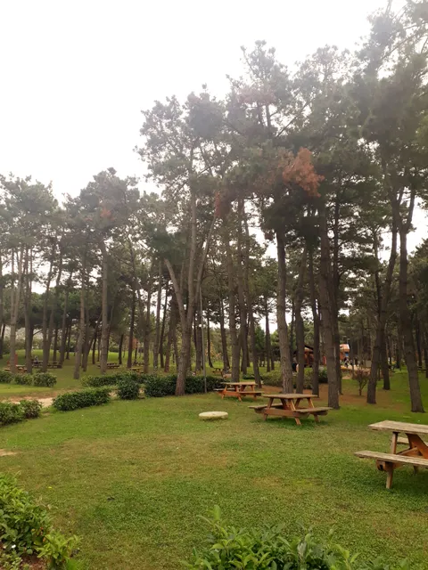 İBB - Sancaktepe Orman Parkı ve Mesire Alanı
