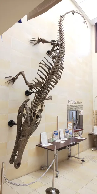 Museum of the University of Osaka