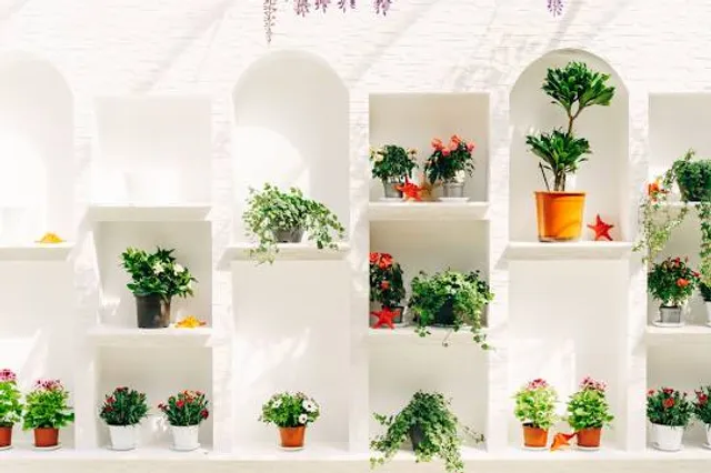 Floral Showhouse