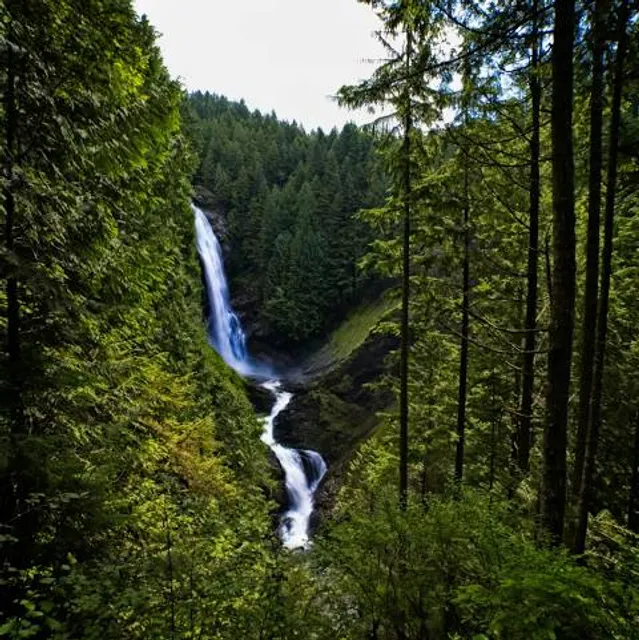 photo-1
