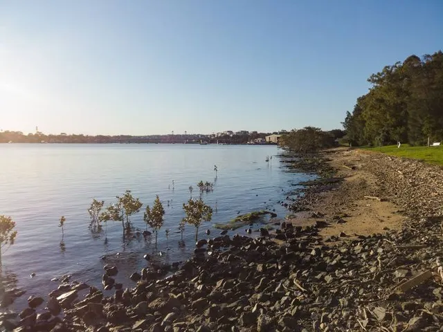 Kissing Point Park Putney