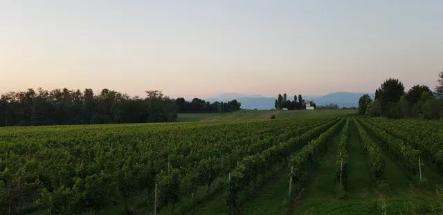 Fontanella Montenetto