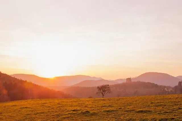 North Vosges Regional Natural Reserve