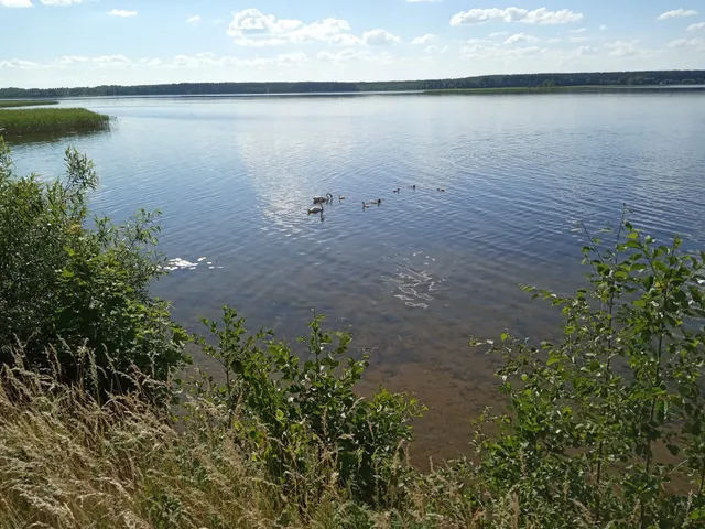 Lake Sebezhskoye