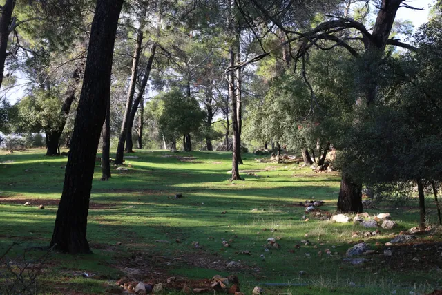photo-2