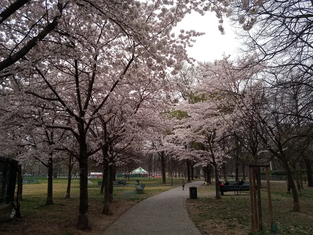 Parco della Resistenza