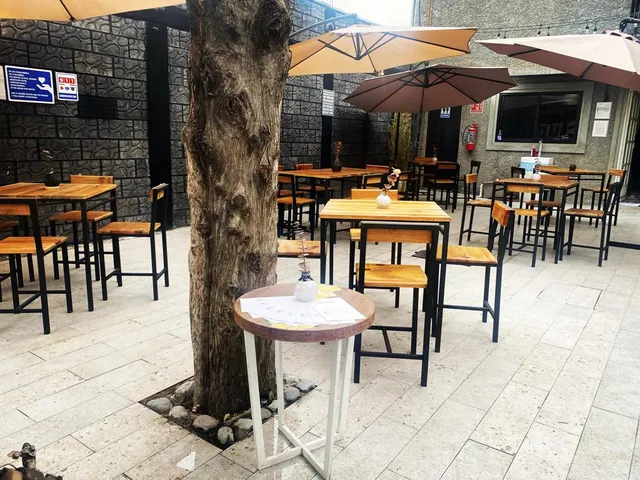 PAROTA MX/LA TERRAZA