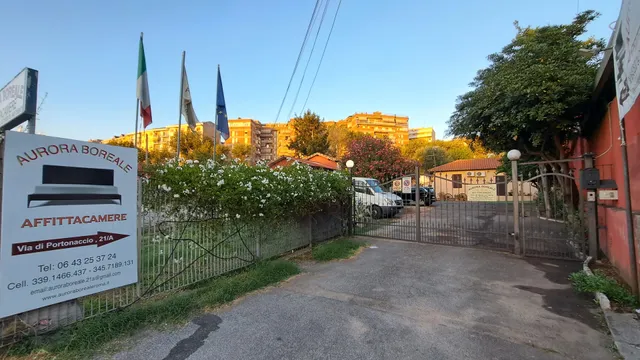 B & B Aurora Borealis