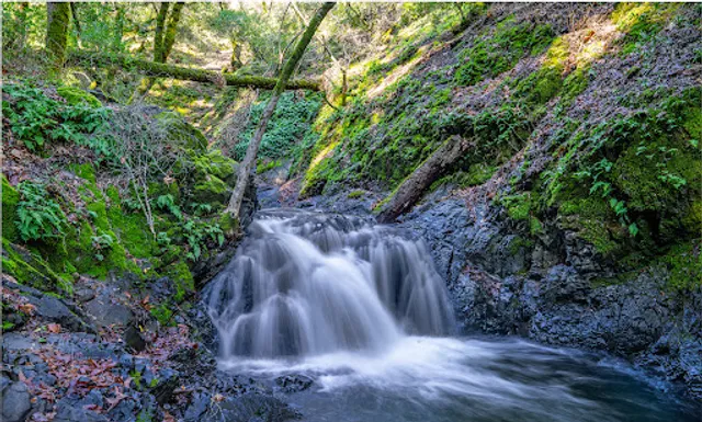 Uvas Canyon County Park