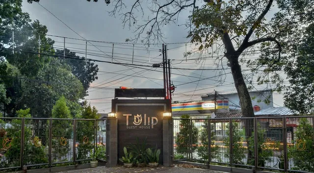 Tulip Guest House