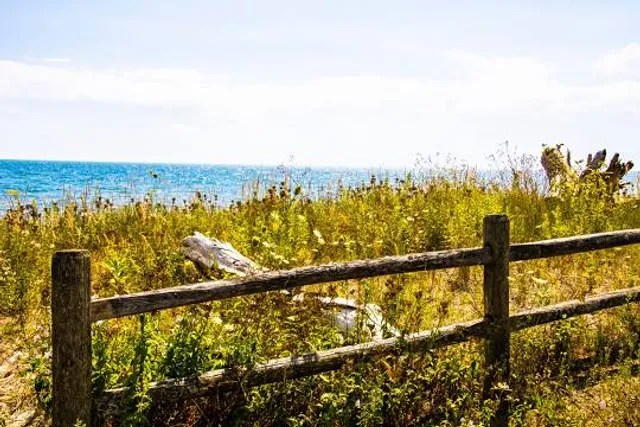 Petticoat Creek Conservation Park