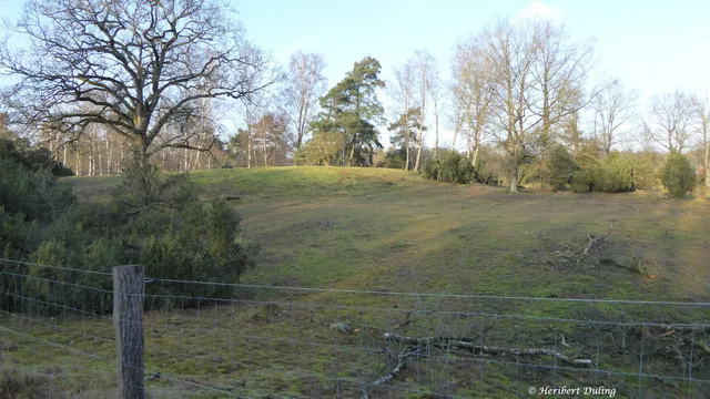Tillenberge Nature Reserve