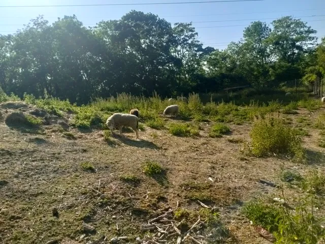 Parc régional de la Butte Pinson