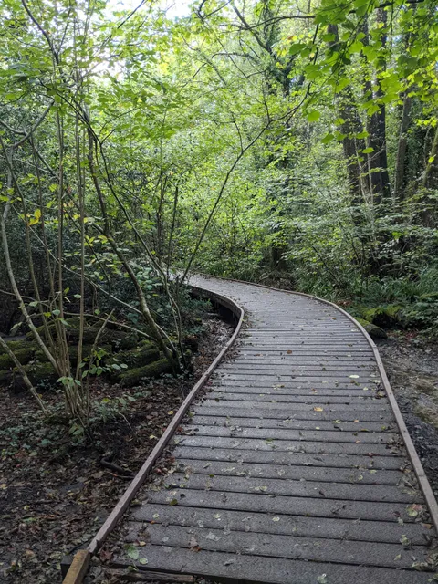 Rowhill Nature Reserve