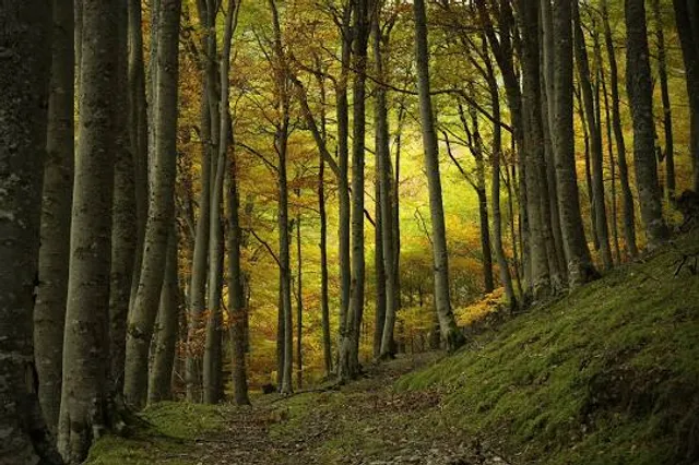 Nacedero del río Oropesa