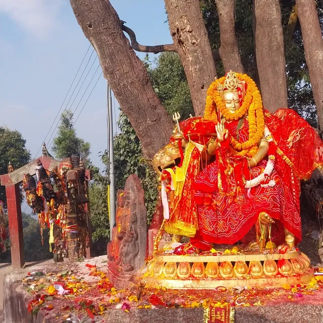 Pathibhara Temple, Ilam