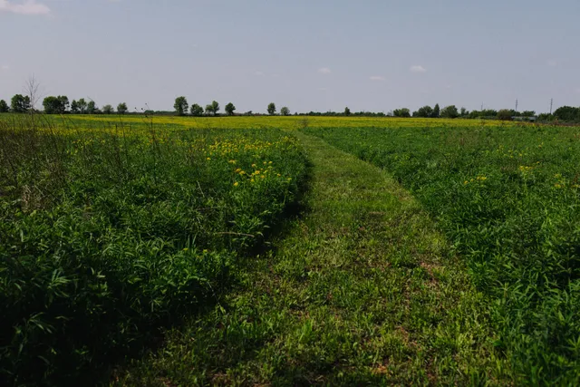 Midewin Iron Bridge Trailhead