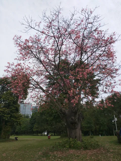 photo-2