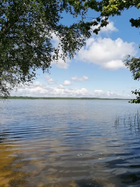 Višnieva järv