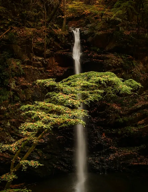 Fudo Waterfall