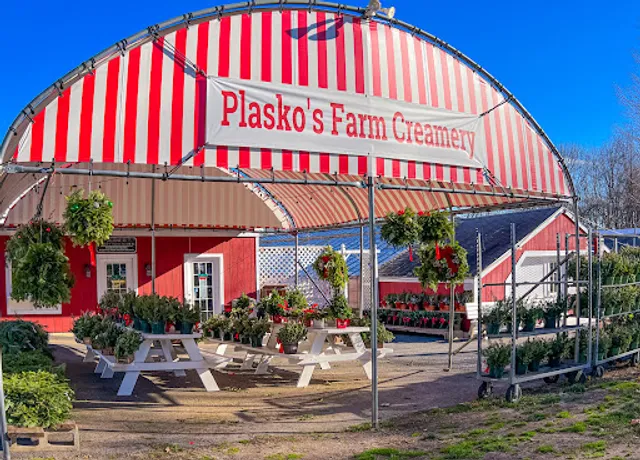 Plasko's Farm Creamery & Cafe