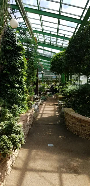 photo-3
