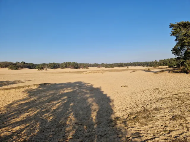 Natuurgebied De Haere