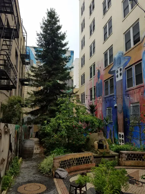 Tenderloin National Forest