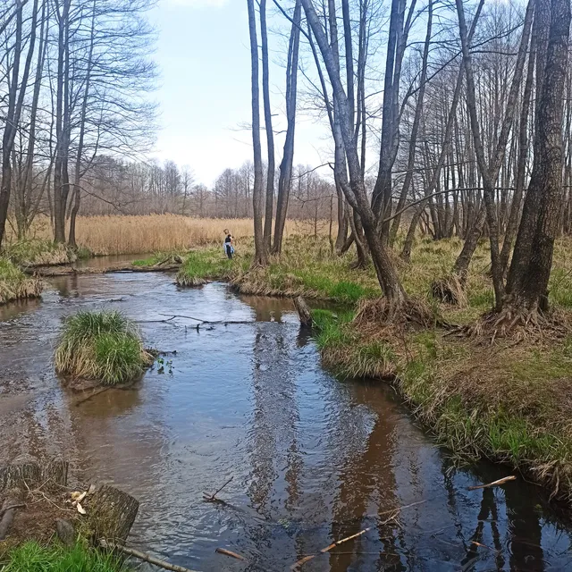 Dolina Białej Przemszy