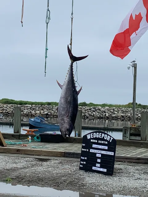 Wedgeport Tuna Museum