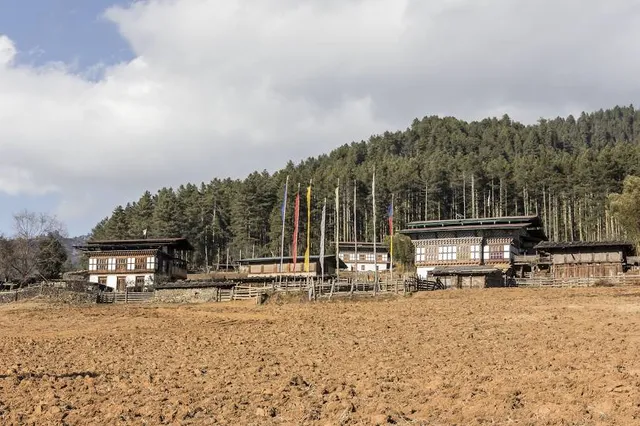 EDELWIES Freizeit GmbH