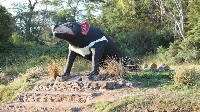 The Big Tasmanian Devil