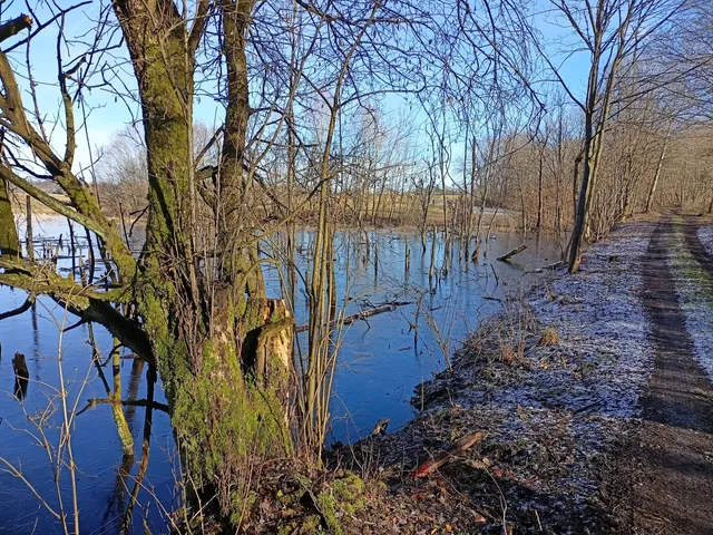 Szlak Zwiniętych Torów