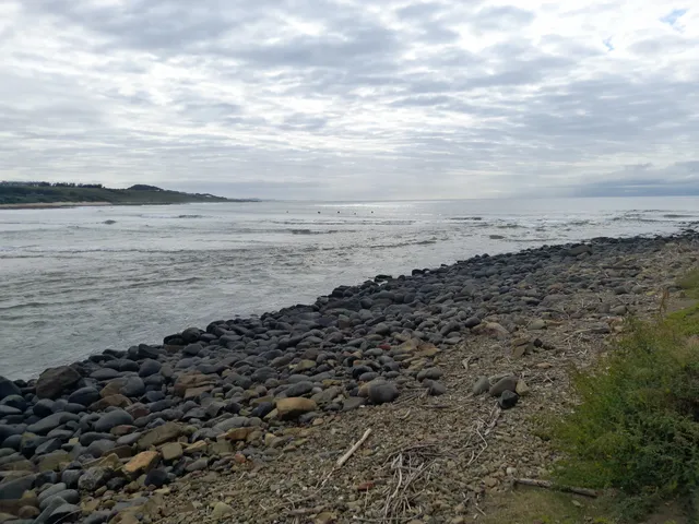 Kwelera National Botanical Garden