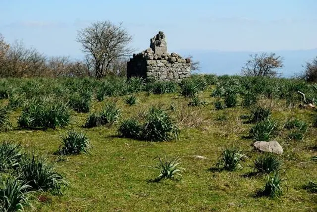 Punto Trigonometrico