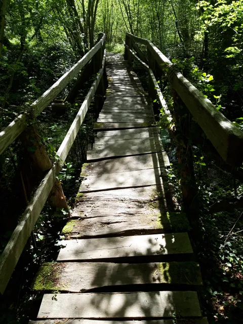 Schnakenpfad Meißenheim