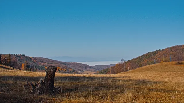 Kráľová pri Zvolene