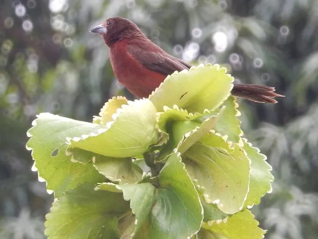 Ezuki Narcissus Road West Interchange.