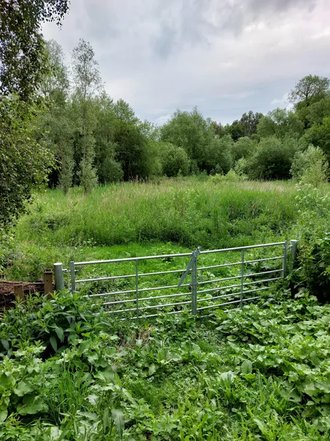 Frenze Beck Nature Reserve