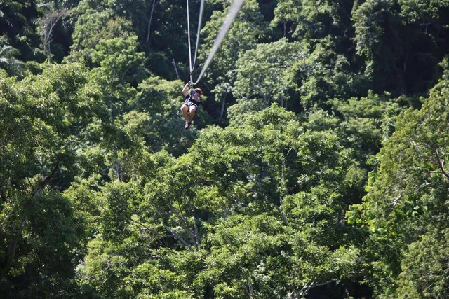 King Kong Extreme Zipline