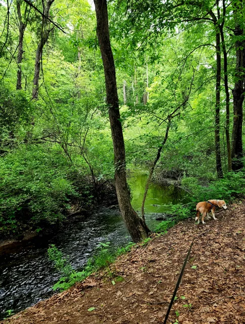 Wege Foundation Natural Area