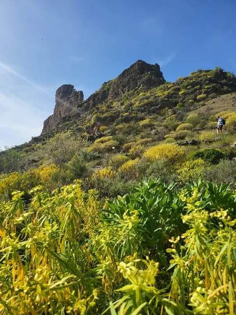 Centro de Interpretación del Roque Bentayga
