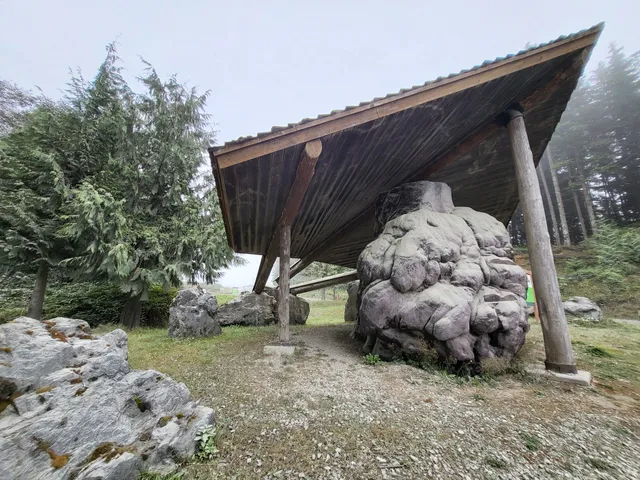 World’s Largest Burl